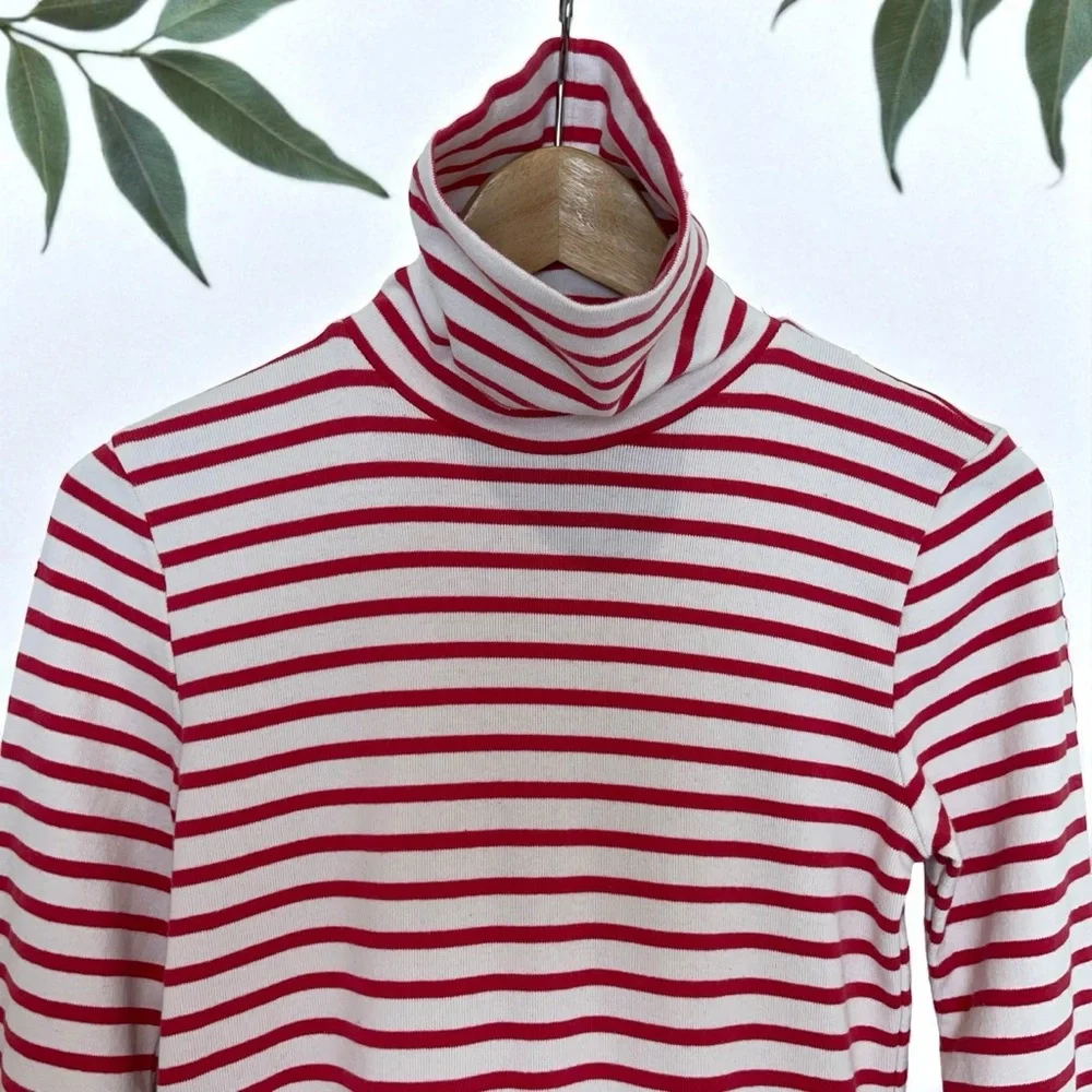J. Crew Striped Turtleneck Dress